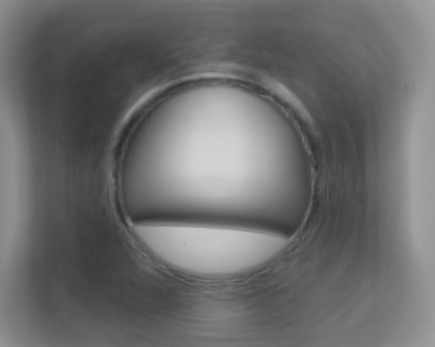 X0000113901360200909241154
