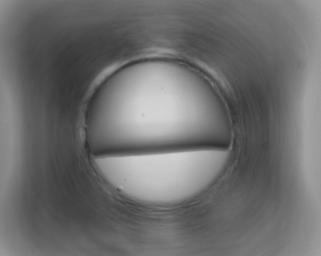 X0000113901363200909241154