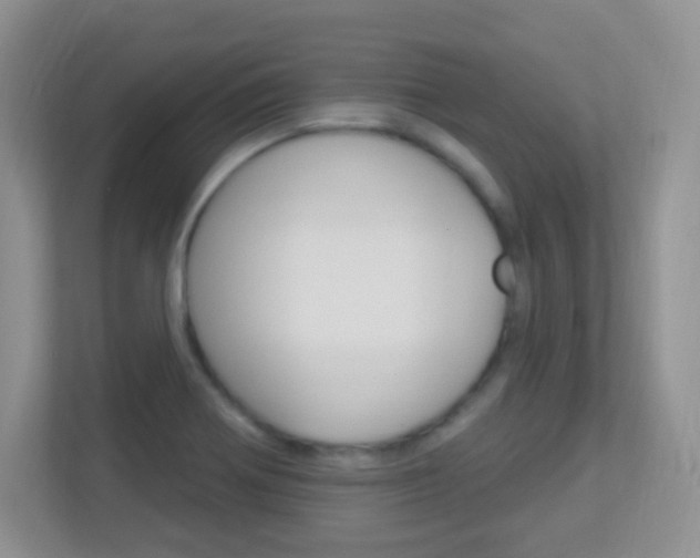 X0000113901370200909241154