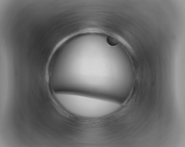 X0000113901372200909241154