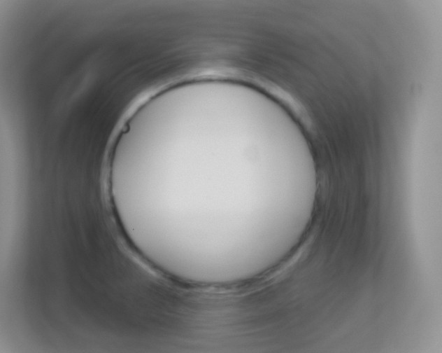 X0000113901374200909241154