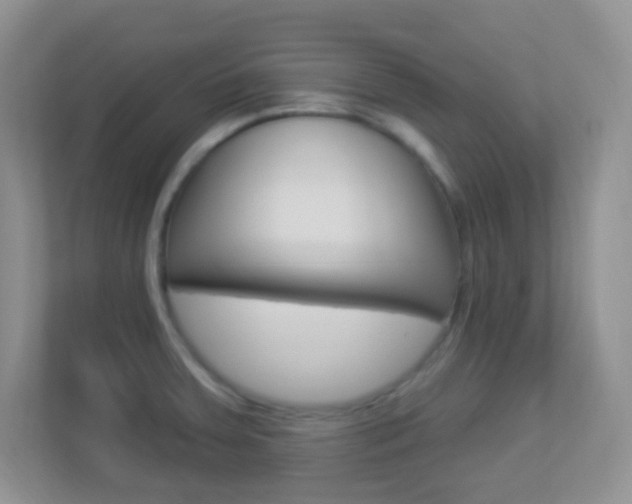 X0000113901379200909241154