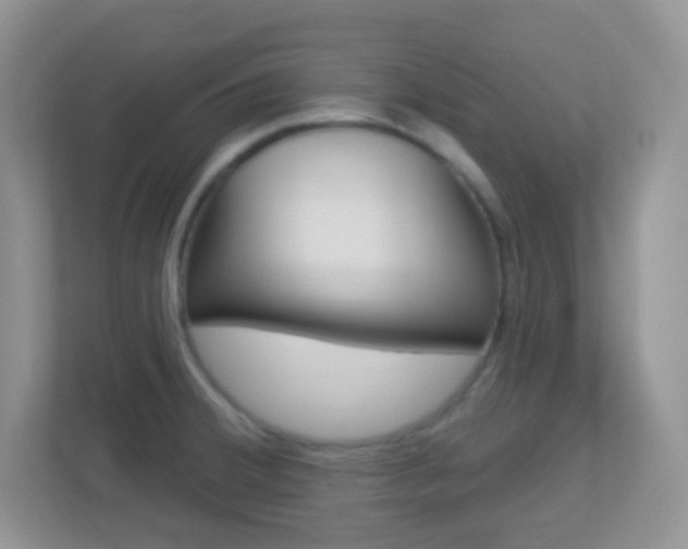 X0000113901380200909241154