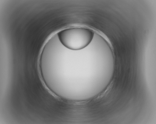 X0000113901381200909241154