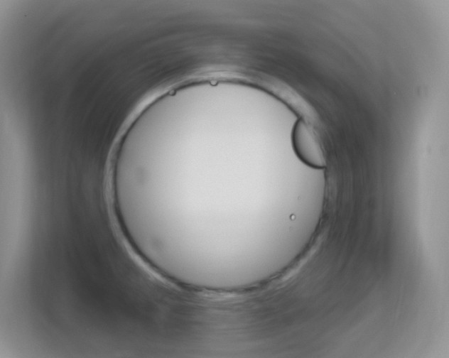 X0000113901382200909241154