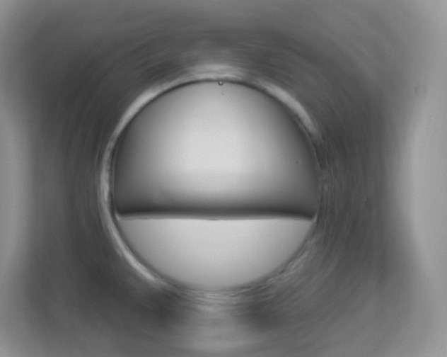 X0000113901383200909241154