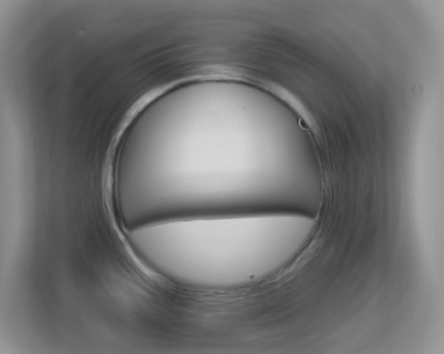 X0000113901387200909241154