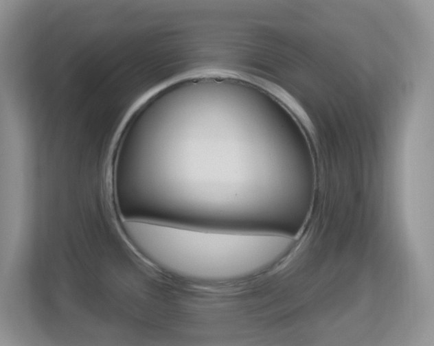 X0000113901388200909241154