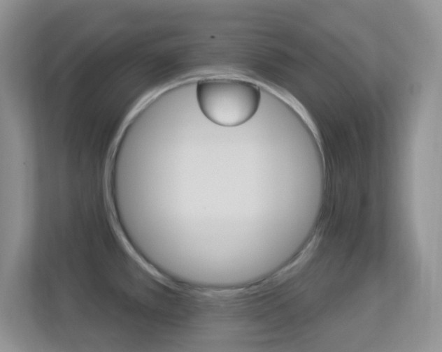 X0000113901389200909241154