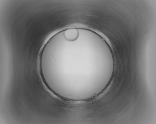 X0000113901390200909241154