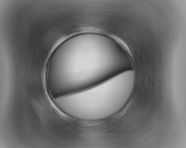 X0000113901391200909241153