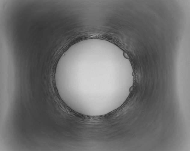 X0000113901393200909241153