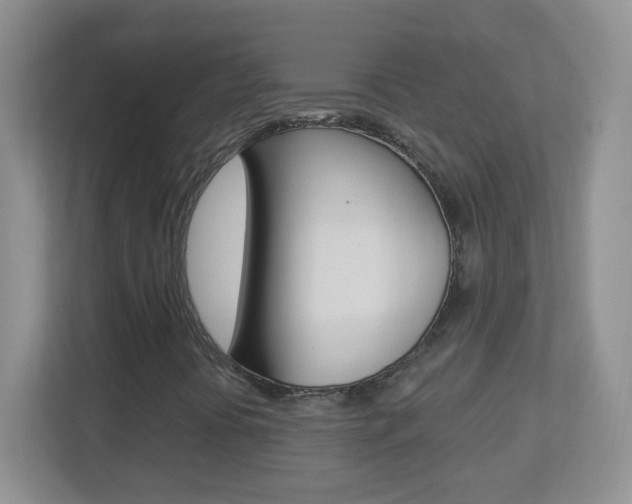 X0000113901394200909241153