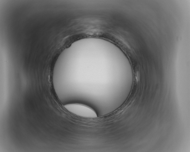 X0000113901396200909241153