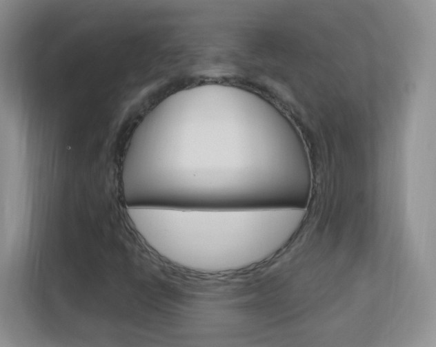 X0000113901398200909241153
