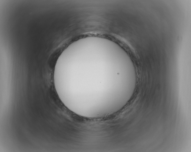 X0000113901399200909241153