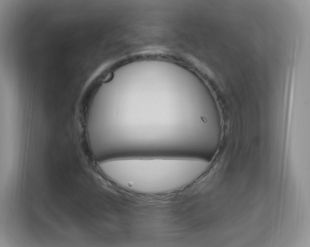 X0000113901400200909241153