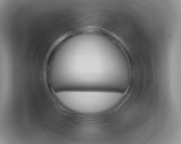 X0000113901410200909241153