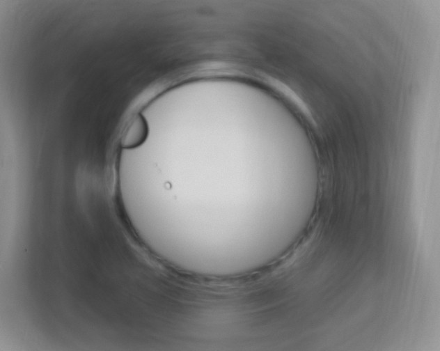 X0000113901413200909241153