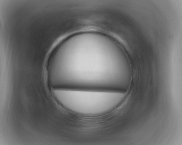 X0000113901414200909241153