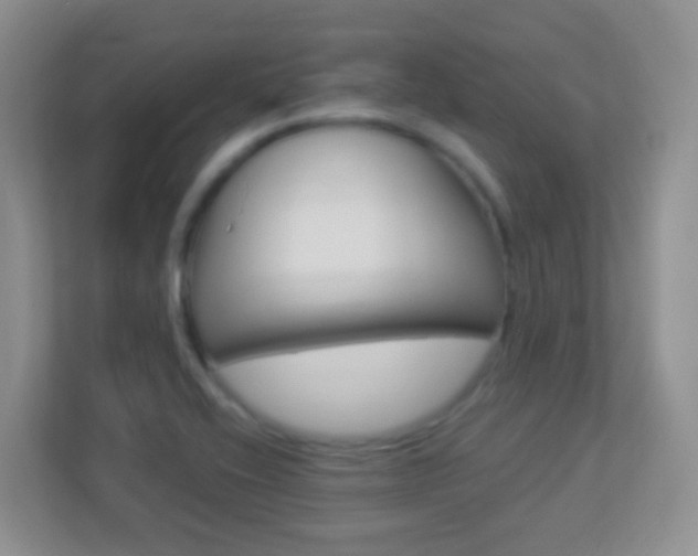 X0000113901416200909241153