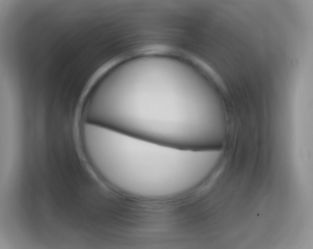 X0000113901418200909241153