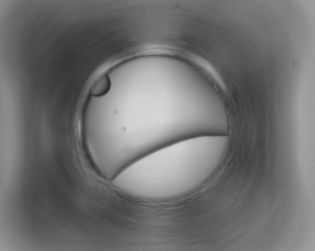 X0000113901419200909241153