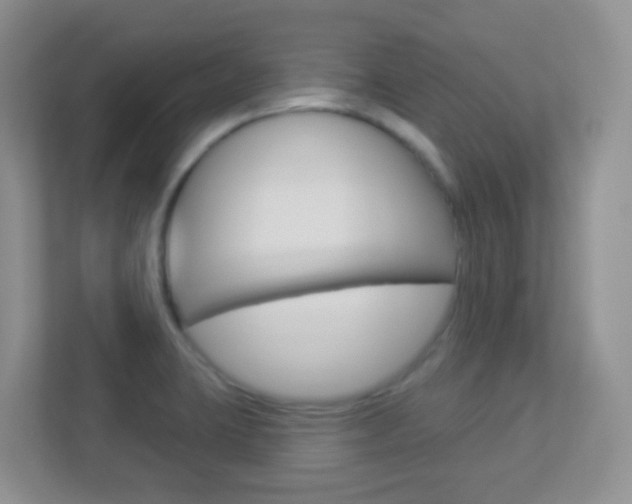 X0000113901423200909241153