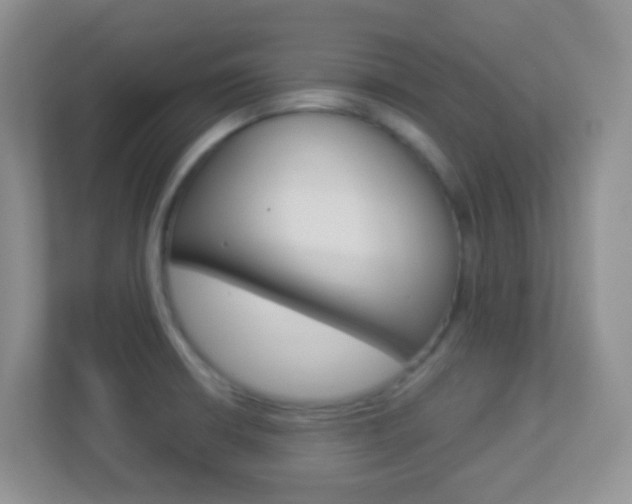 X0000113901426200909241153