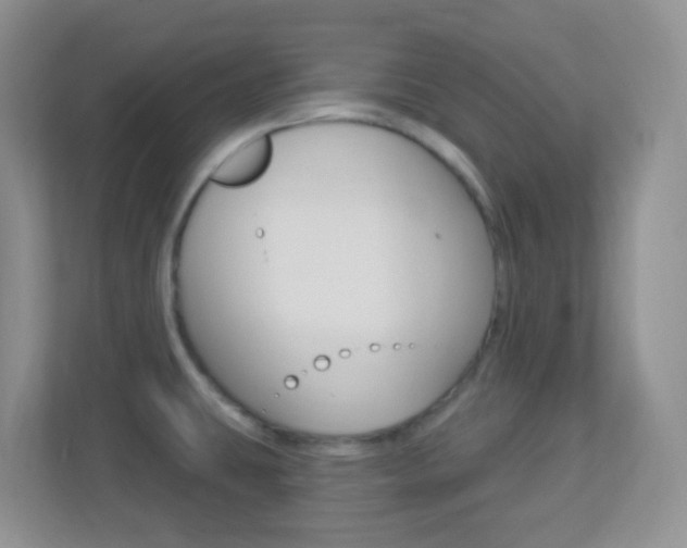 X0000113901431200909241153