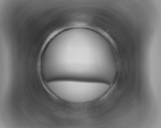 X0000113901432200909241153