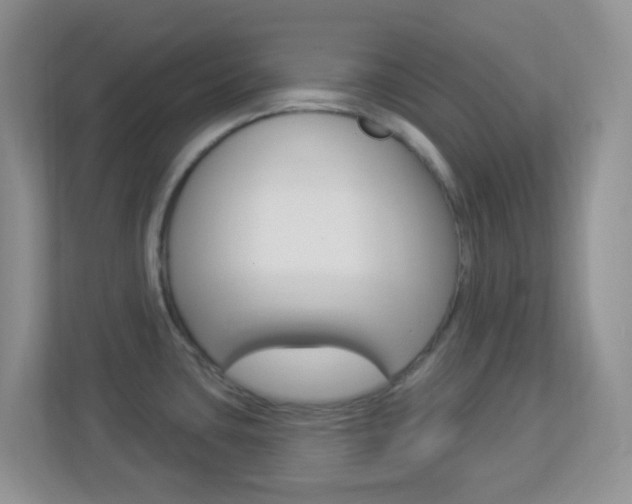 X0000113901435200909241153