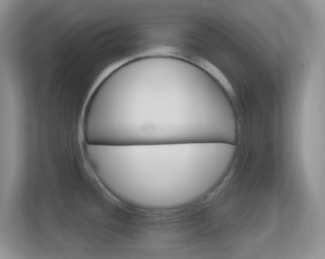 X0000113901436200909241153