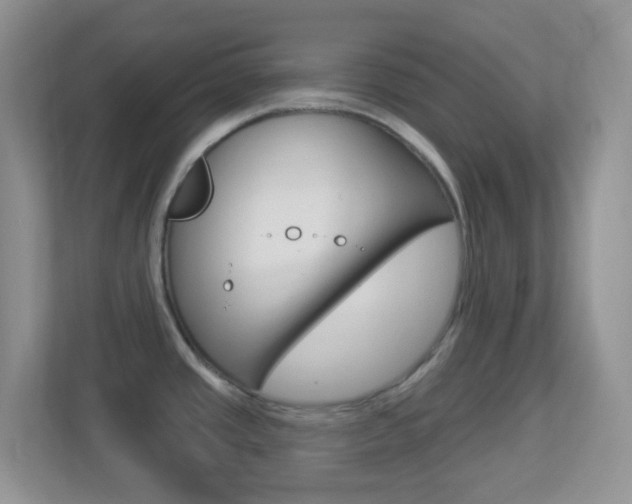 X0000113901437200909241153