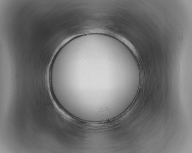 X0000113901439200909241153