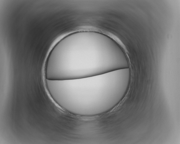 X0000113901440200909241153