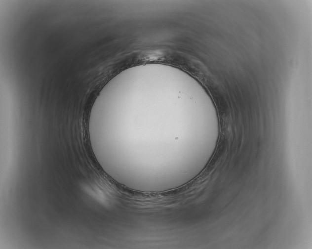 X0000113901442200909241153