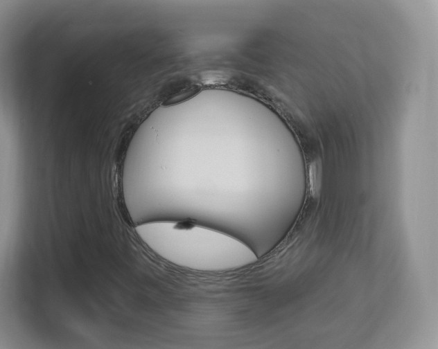 X0000113901443200909241153