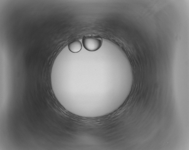 X0000113901444200909241153