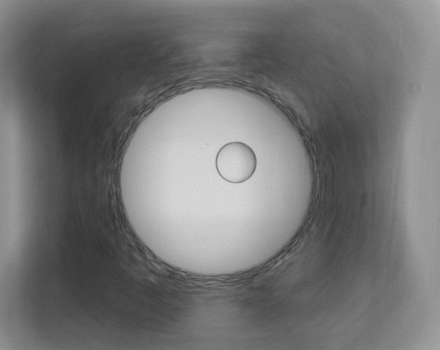 X0000113901445200909241153