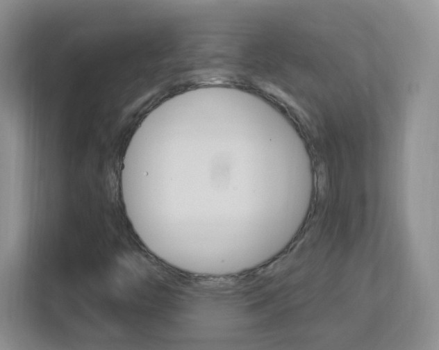 X0000113901446200909241153