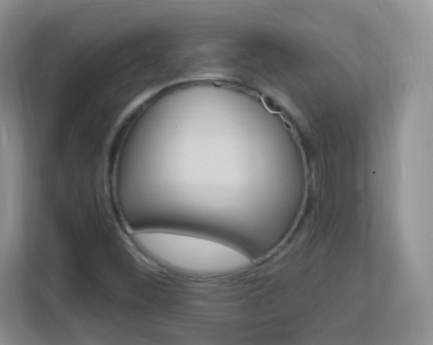 X0000113901452200909241153