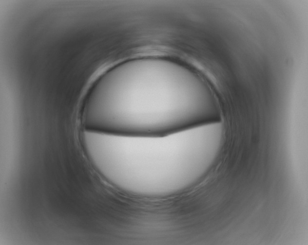 X0000113901459200909241153