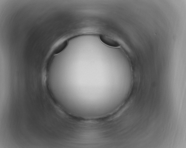 X0000113901461200909241153