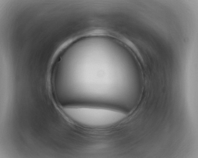 X0000113901464200909241153