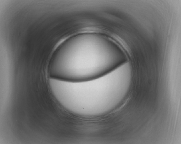 X0000113901465200909241153