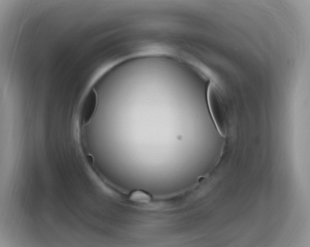 X0000113901468200909241152