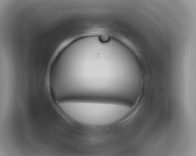 X0000113901469200909241152