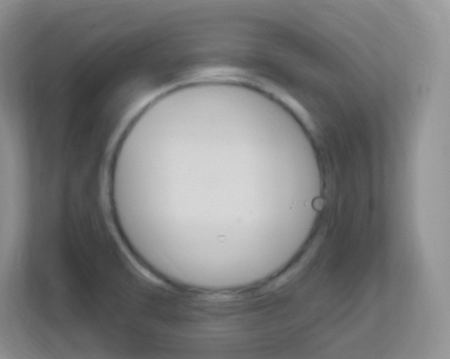 X0000113901470200909241152