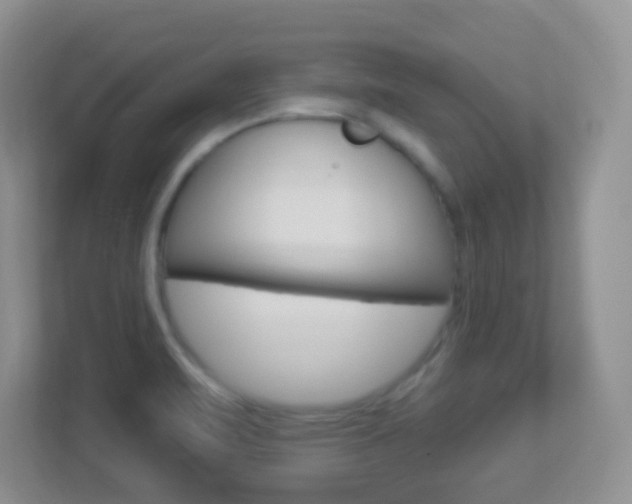 X0000113901471200909241152